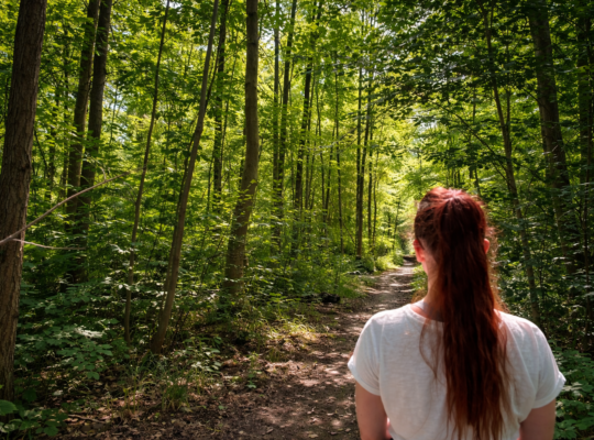 Frau blickt auf einen Waldweg umgeben von dichtem Grün