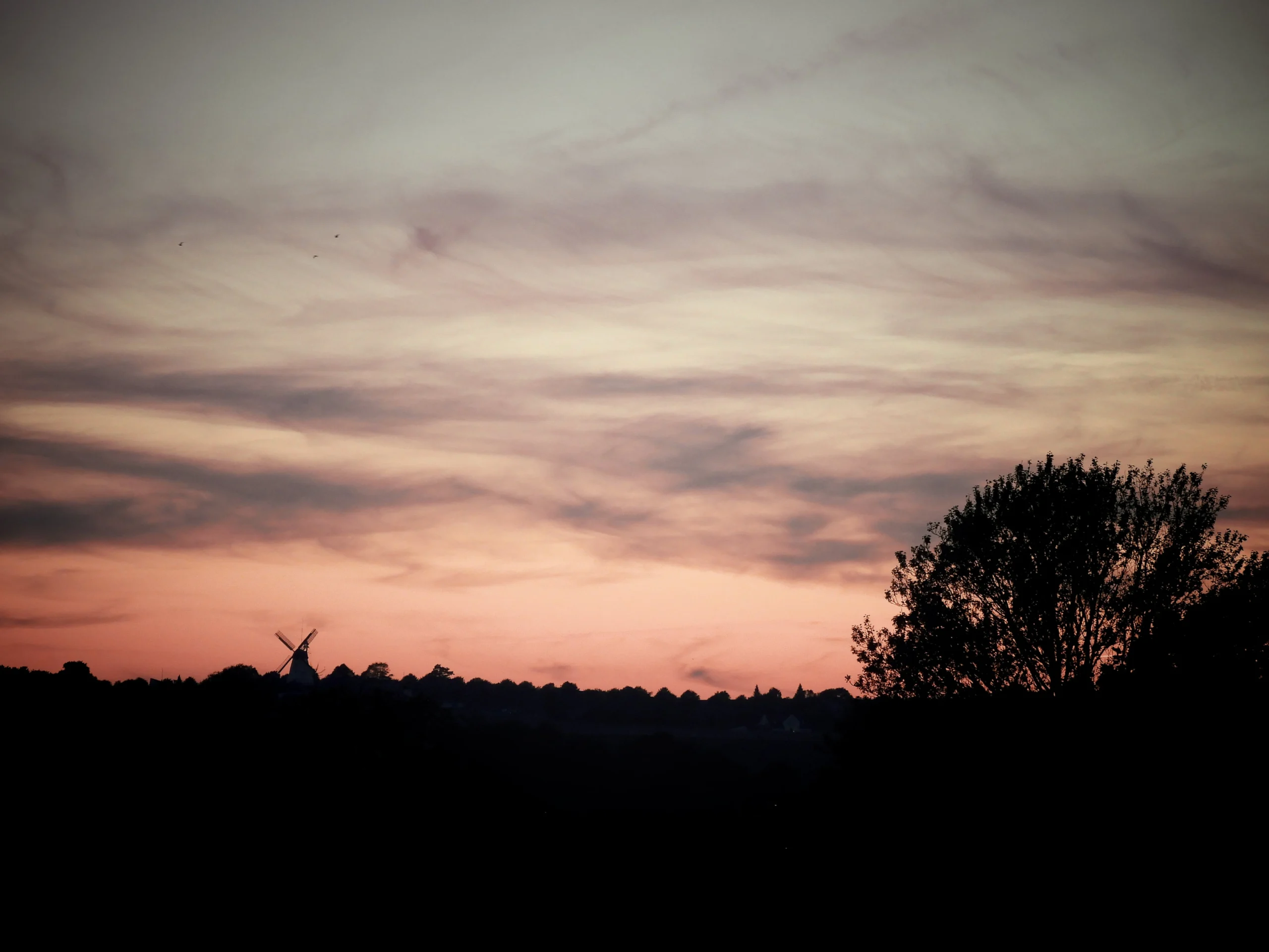 Abendhimmel mit Sonnenuntergang, Baum-Silhouetten und einer Windmühle