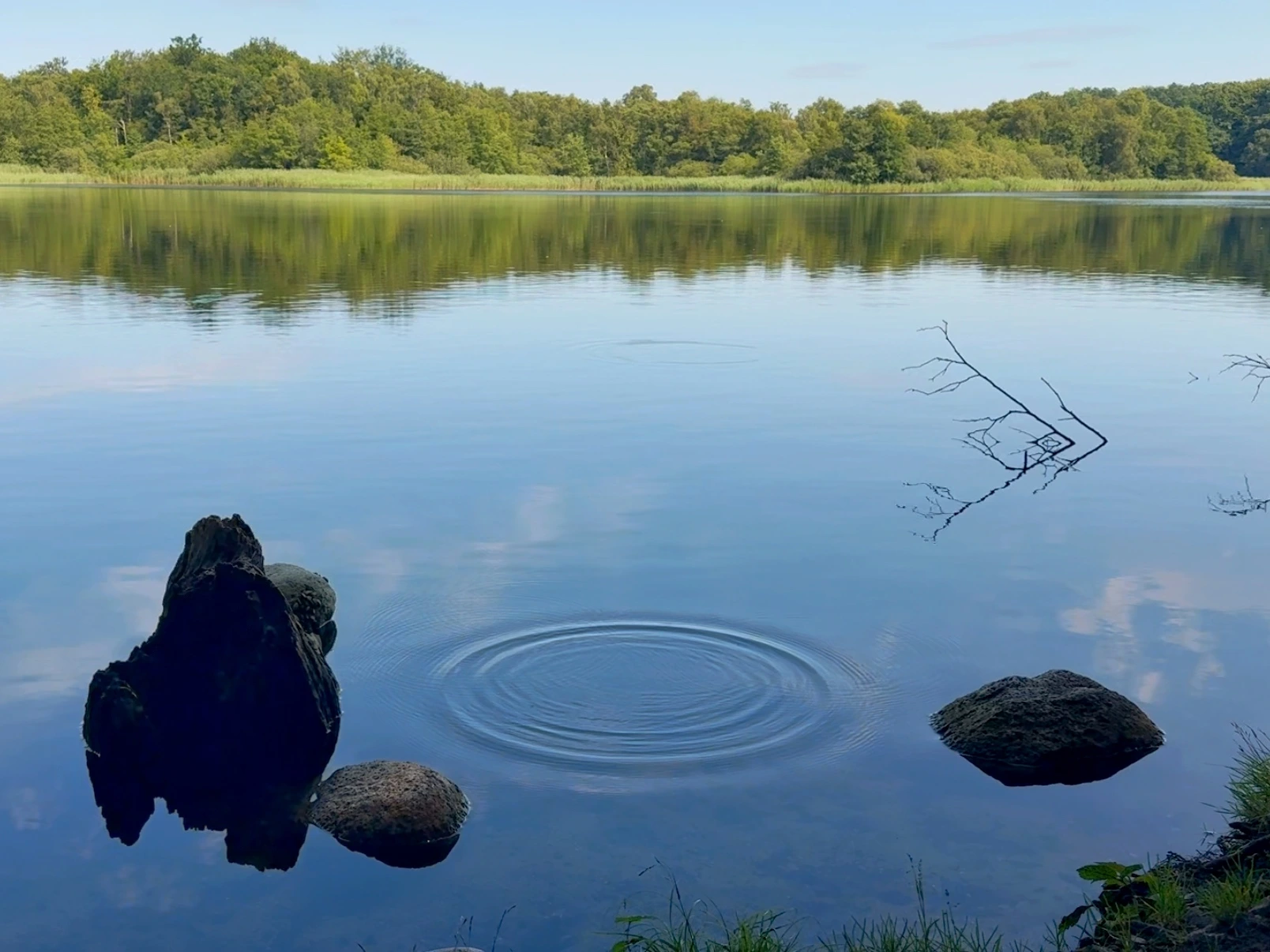 Kreisförmige Wellen auf einem ruhigen See zwischen Steinen