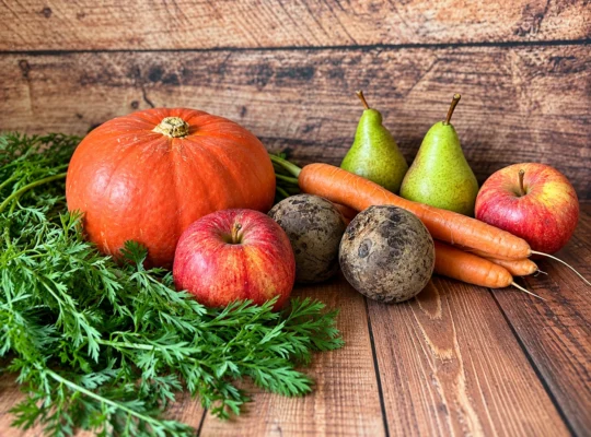 K&uuml;rbis, &Auml;pfel, Birnen, M&ouml;hren und weiteres saisonales Herbstgem&uuml;se auf einem Holztisch